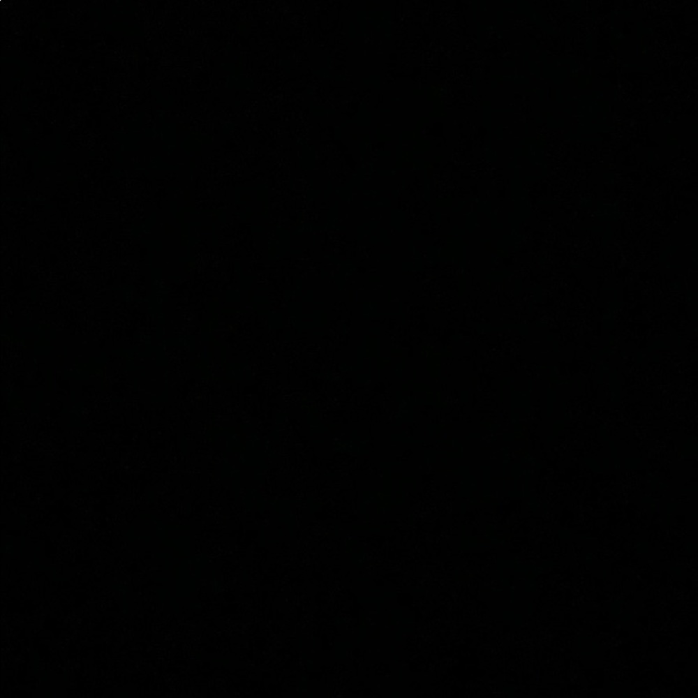 Meet your Posher, Alajiona